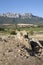 Burial Stones and Countryside, Laguardia, Alava