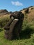 Buried Moai