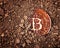 Buried rusty bitcoin