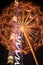 Burj Khalifa and dandelion sculpture illuminated by lights.