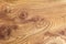 Burl wood background