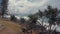 Burleigh Hill Pandanus Trees & Headland Ocean View.Gold Coast Sea Landscape & Beach
