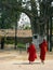 Burma. Monks walk to Temple