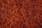 Burma padauk burl wood striped are wooden beautiful pattern for crafts or art background