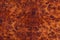 Burma padauk burl wood striped are wooden beautiful pattern for crafts or art background