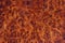 Burma padauk burl wood striped are wooden beautiful pattern for crafts or art background