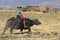 Burmese Boy on Buffalo