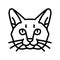 burmese cat cute pet line icon vector illustration