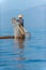 Burmese fisherman dressed in traditional style standing