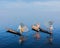 Burmese fishermen at Inle lake, Myanmar