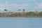 Burmese fishing boat on the River with Grass tree background