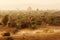 Burmese herder leads cattle herd