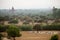 Burmese herder leads cattle herd