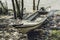 Burmese homemade motor boat left by tide on riverbank 2