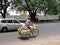 Burmese man riding a bicycle with live chickens in (Rangoon) Yangon, (Burma) Myanmar