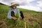 Burmese migrant workers harvesting onions in the fields