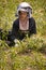 Burmese migrant workers harvesting onions in the fields