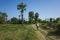 Burmese woman is cycling on small path in rural area along green fields with palm trees in Inwa