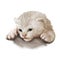 Burmilla cat  on white. Digital art illustration of hand drawn kitty for web. Medium haired kitten have white coat with