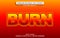 Burn editable text effect