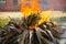 burn fire green and dry coconut tree leaf in garden, Closeup