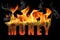 Burn Money in Fire Text