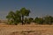 Burned Area and Unburned Short Grass Prairie.