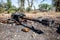 Burned artillery gun, War actions aftermath, Ukraine and Donbass conflict