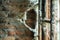 Burned brick wall with spider web, bright light from the window