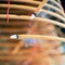 Burned coil swirl incense in Macau Macao temple,traditional Chinese cultural customs to worship god,close up,lifestyle