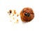 Burned cornflake and raisin cookie with crumb