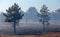 Burned forest, charred earth after the fire against the background of smoke and trees destruction landscape