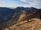 Burned forest in the mountains, burnt trees after wildfire, Spain