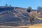 Burned grass on hills of Australian countryside