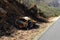 A burned out car next to a road in South Africa