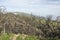 Burned shrubs,cloudiness in the valley, Paul da serra high plain, Madeira