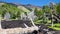 Burned tree in hardened lava flow on Etna slope