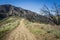 Burned Trees Beside Dirt Trail