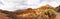 Burned trees in mountain desert, Panorama in Teide Volcano, Tenerife, Canarian Islands