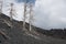 Burned trees on volcano