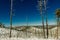 Burned trees in winter against the blue sky. bryce national park