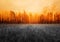 Burning autumn forest during dramatic sunset landscape background