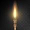 Burning Beach Bamboo Torch With Flame. Realistic Fire. Realistic Fire Torch Isolated On Transparent Background. Vector Illustratio