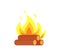 Burning Billets Isolated Vector Icon. Flame Logs