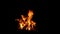 burning bonfire on a black background with bright erupting sparks. Natural background.