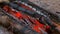 Burning bonfire and coals in forest camping among birch firewood trunks closeup.