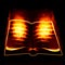 Burning book