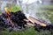 Burning books on the fire outdoors, forbidden books