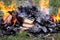 Burning books outdoors, destroying forbidden books, books on the fire