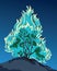 Burning bush. Vector drawing icon